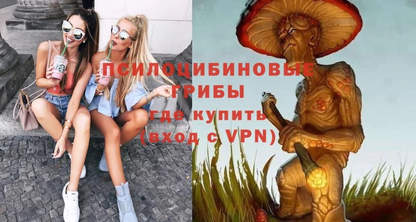 бошки Армянск